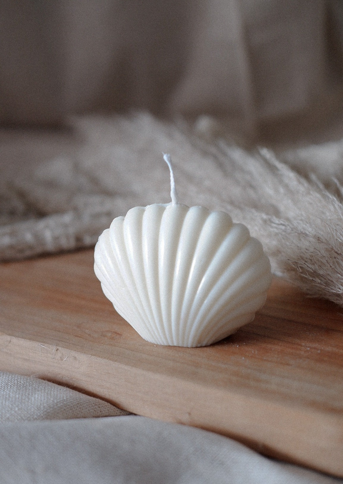 Vienna Shell Candle